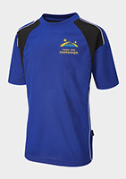 PE Sports Shirt (Adult)